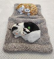 "Кошка с котенком" во Балахне