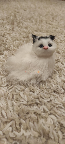 Кот из меха 2 во Балахне